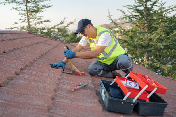 Best Roof Gutter Cleaning  in Millwood, WA